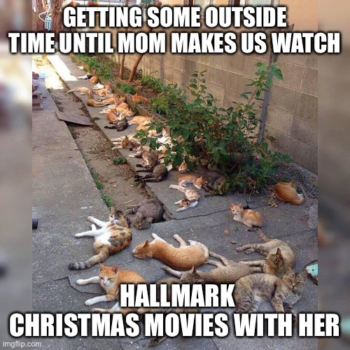 Binge watching | GETTING SOME OUTSIDE TIME UNTIL MOM MAKES US WATCH; HALLMARK CHRISTMAS MOVIES WITH HER | image tagged in funny memes | made w/ Imgflip meme maker