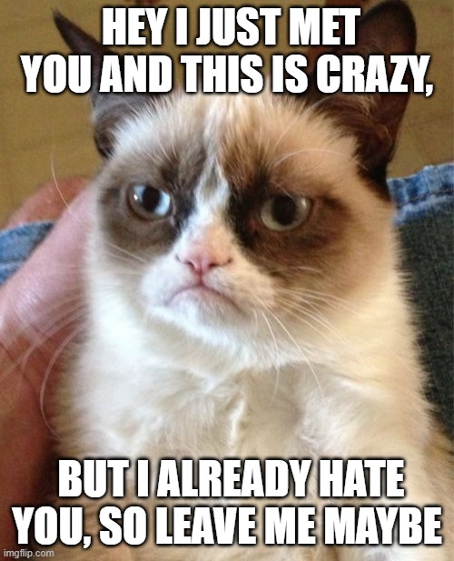 Grumpy Cat Meme | HEY I JUST MET YOU AND THIS IS CRAZY, BUT I ALREADY HATE YOU, SO LEAVE ME MAYBE | image tagged in memes,grumpy cat | made w/ Imgflip meme maker