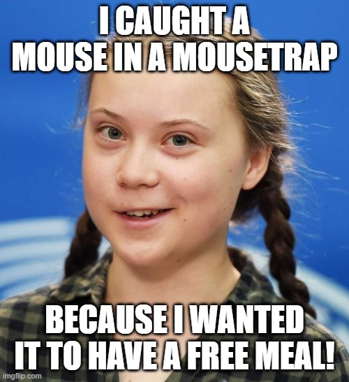 Greta Explains Socialism | I CAUGHT A MOUSE IN A MOUSETRAP; BECAUSE I WANTED IT TO HAVE A FREE MEAL! | image tagged in greta thunberg | made w/ Imgflip meme maker