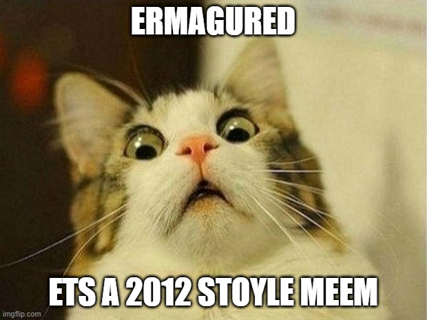 everyone when they see this meme | ERMAGURED; ETS A 2012 STOYLE MEEM | image tagged in memes,scared cat | made w/ Imgflip meme maker