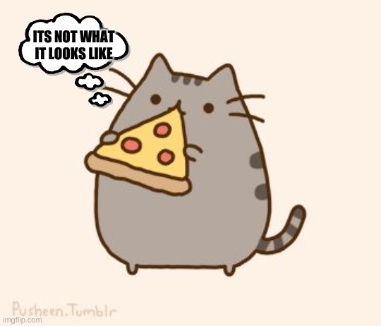 Pusheen eating Pizza | ITS NOT WHAT IT LOOKS LIKE | image tagged in pusheen eating pizza | made w/ Imgflip meme maker