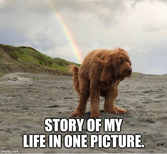 End of the rainbow | STORY OF MY LIFE IN ONE PICTURE. | image tagged in fun | made w/ Imgflip meme maker
