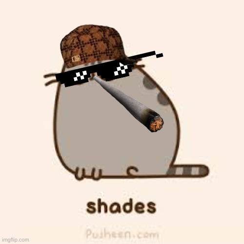awesome pusheen | image tagged in awesome pusheen | made w/ Imgflip meme maker