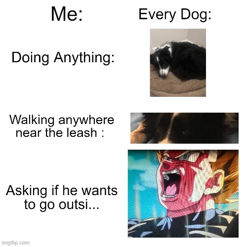Chilldog | image tagged in dogs,dog,dragon ball z,hype | made w/ Imgflip meme maker