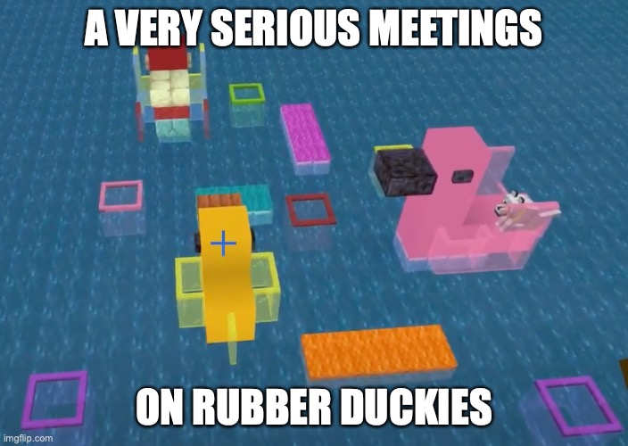 Pacific Meeting Room | A VERY SERIOUS MEETINGS; ON RUBBER DUCKIES | image tagged in hermitcraft | made w/ Imgflip meme maker