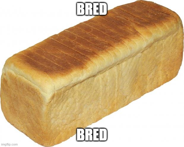 Breadddd | BRED; BRED | image tagged in breadddd | made w/ Imgflip meme maker