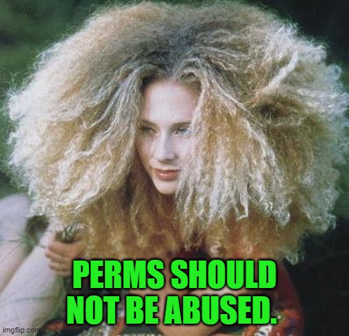 bad hair day | PERMS SHOULD NOT BE ABUSED. | image tagged in bad hair day | made w/ Imgflip meme maker