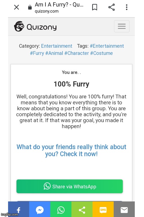 I blame you | image tagged in blank white template,furry,test | made w/ Imgflip meme maker