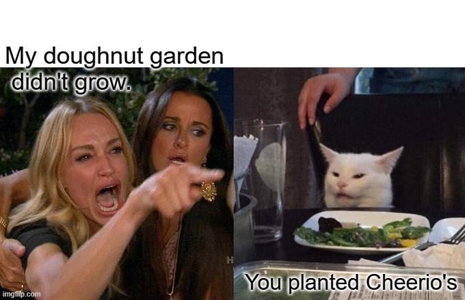 Woman Yelling At Cat Meme | My doughnut garden
 didn't grow. You planted Cheerio's | image tagged in memes,woman yelling at cat | made w/ Imgflip meme maker