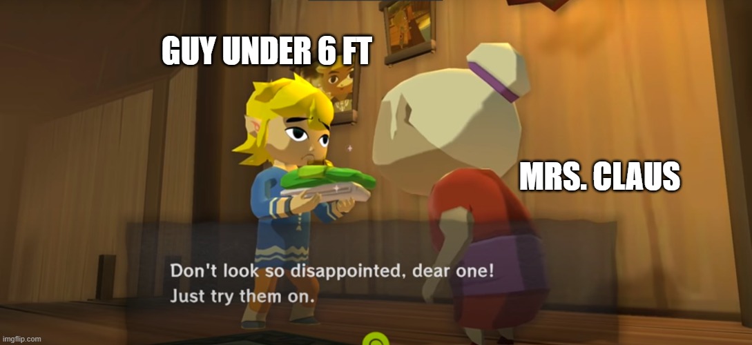 GUY UNDER 6 FT; MRS. CLAUS | image tagged in legend of zelda | made w/ Imgflip meme maker