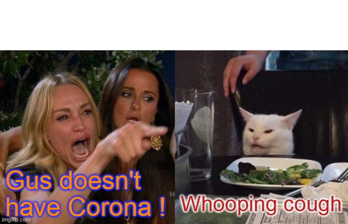 Woman Yelling At Cat Meme | Gus doesn't have Corona ! Whooping cough | image tagged in memes,woman yelling at cat | made w/ Imgflip meme maker
