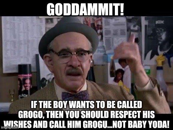 Call him Grogu! | GODDAMMIT! IF THE BOY WANTS TO BE CALLED GROGO, THEN YOU SHOULD RESPECT HIS WISHES AND CALL HIM GROGU...NOT BABY YODA! | image tagged in star wars,star wars yoda,the mandalorian,baby yoda | made w/ Imgflip meme maker