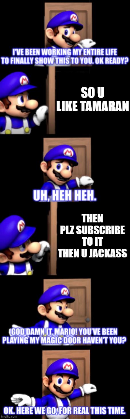 wow smg4 look man its a me bitch | SO U LIKE TAMARAN; THEN PLZ SUBSCRIBE TO IT THEN U JACKASS | image tagged in smg4 door full version | made w/ Imgflip meme maker