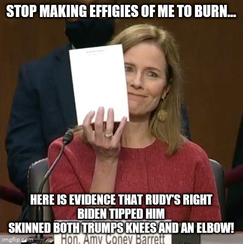 Amy Comey Barrett | STOP MAKING EFFIGIES OF ME TO BURN... HERE IS EVIDENCE THAT RUDY'S RIGHT
BIDEN TIPPED HIM SKINNED BOTH TRUMPS KNEES AND AN ELBOW! | image tagged in amy comey barrett | made w/ Imgflip meme maker