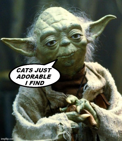 Metal for life !!! on Fb | CATS JUST 
ADORABLE 
I FIND | image tagged in memes,star wars yoda,cats,pets,so true,adorable | made w/ Imgflip meme maker