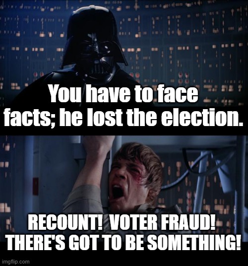 The denial is strong in this one | You have to face facts; he lost the election. RECOUNT!  VOTER FRAUD!  THERE'S GOT TO BE SOMETHING! | image tagged in memes,star wars no | made w/ Imgflip meme maker