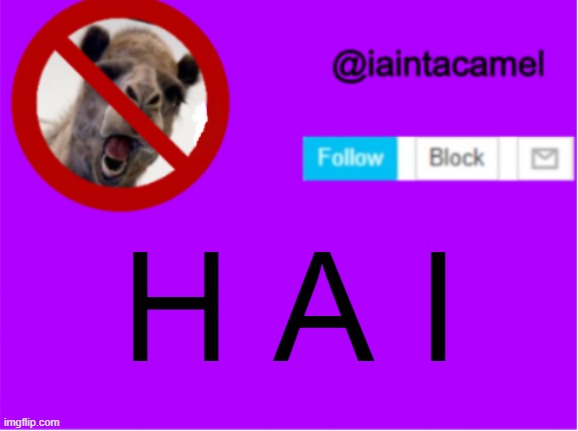 yeet? | H A I | image tagged in iaintacamel | made w/ Imgflip meme maker