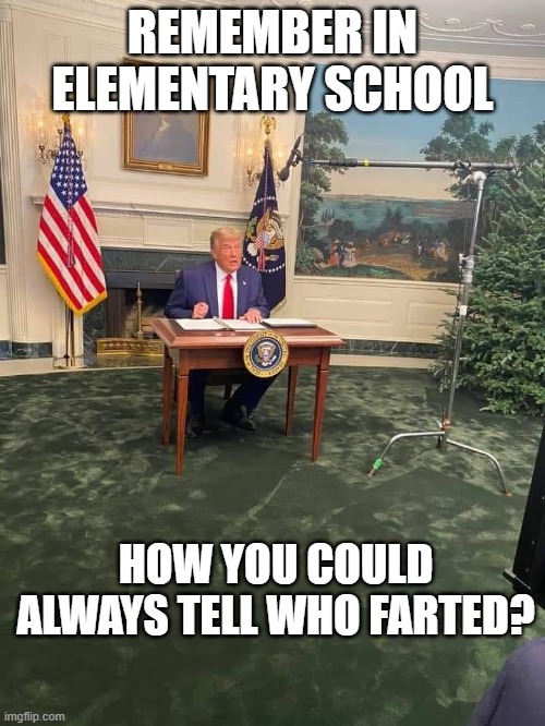 Fourth year student failed out | REMEMBER IN ELEMENTARY SCHOOL; HOW YOU COULD ALWAYS TELL WHO FARTED? | image tagged in trump,tiny,table,fail,fart | made w/ Imgflip meme maker