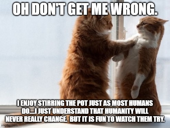 Sincere Cats | OH DON'T GET ME WRONG. I ENJOY STIRRING THE POT JUST AS MOST HUMANS DO....I JUST UNDERSTAND THAT HUMANITY WILL NEVER REALLY CHANGE.  BUT IT  | image tagged in sincere cats | made w/ Imgflip meme maker