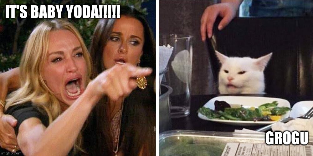 Smudge the cat | IT'S BABY YODA!!!!! GROGU | image tagged in smudge the cat | made w/ Imgflip meme maker