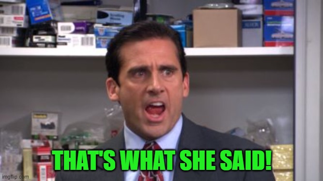the office bankruptcy | THAT'S WHAT SHE SAID! | image tagged in the office bankruptcy | made w/ Imgflip meme maker