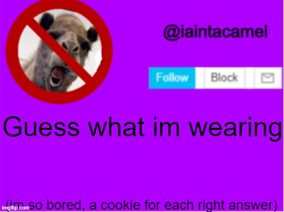 y e e t | Guess what im wearing; (im so bored, a cookie for each right answer) | image tagged in iaintacamel | made w/ Imgflip meme maker