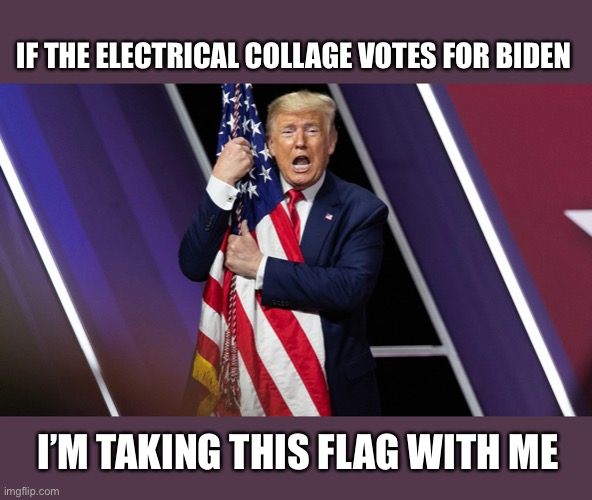 The Electoral college and Trumps | IF THE ELECTRICAL COLLAGE VOTES FOR BIDEN; I’M TAKING THIS FLAG WITH ME | image tagged in donald trump,voter fraud,election 2020,joe biden,winner,funny | made w/ Imgflip meme maker