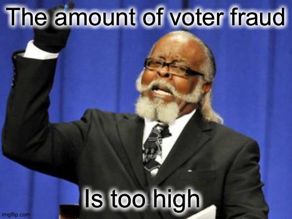 Voter fraud in this election is too high | The amount of voter fraud; Is too high | image tagged in memes,too damn high,voters | made w/ Imgflip meme maker