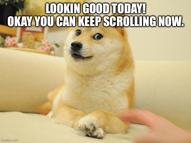 Doge 2 Meme | LOOKIN GOOD TODAY!
OKAY YOU CAN KEEP SCROLLING NOW. | image tagged in memes,doge 2 | made w/ Imgflip meme maker