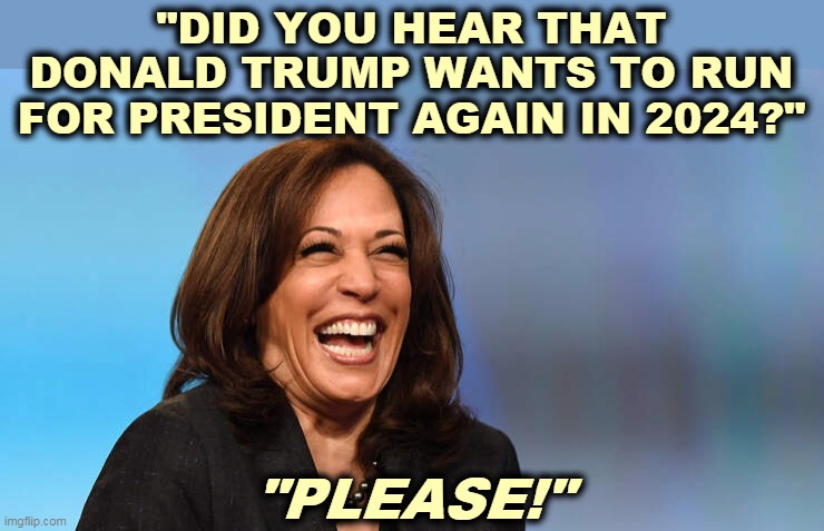 Just think of all the competent Republican candidates that Trump will push out of the way and off the field. | "DID YOU HEAR THAT DONALD TRUMP WANTS TO RUN FOR PRESIDENT AGAIN IN 2024?"; "PLEASE!" | image tagged in kamala harris,laughing,trump,running,again | made w/ Imgflip meme maker