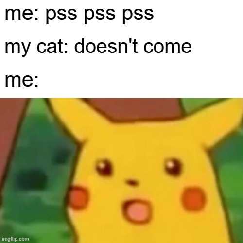 Surprised Pikachu | me: pss pss pss; my cat: doesn't come; me: | image tagged in memes,surprised pikachu | made w/ Imgflip meme maker
