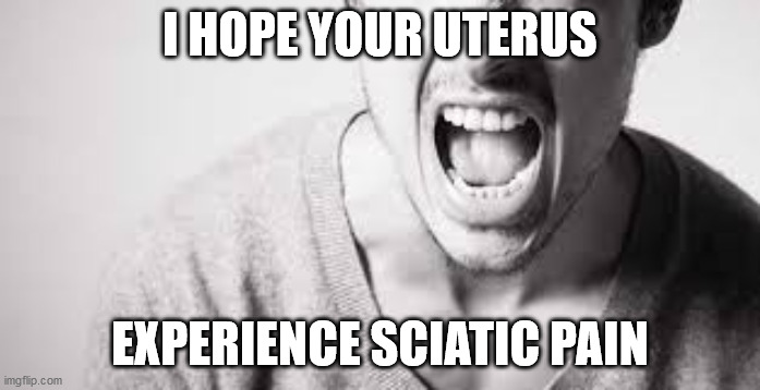 I HOPE YOUR UTERUS; EXPERIENCE SCIATIC PAIN | image tagged in he-man comebacks | made w/ Imgflip meme maker