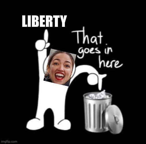that goes in here | LIBERTY | image tagged in that goes in here | made w/ Imgflip meme maker