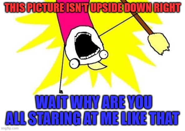 You need to notice now, boi. | THIS PICTURE ISN'T UPSIDE DOWN RIGHT; WAIT WHY ARE YOU ALL STARING AT ME LIKE THAT | image tagged in memes,x all the y | made w/ Imgflip meme maker