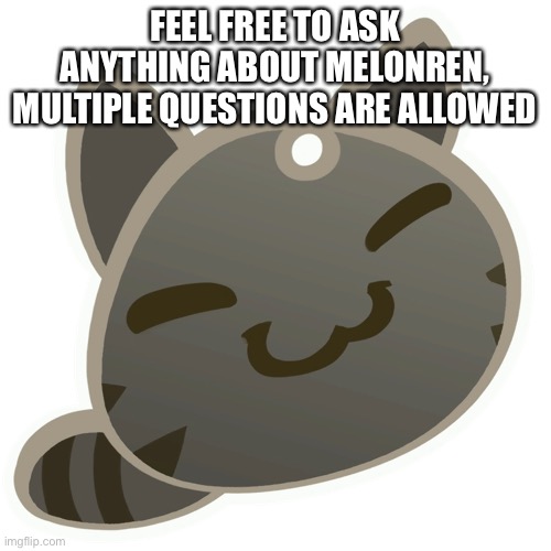 FEEL FREE TO ASK ANYTHING ABOUT MELONREN, MULTIPLE QUESTIONS ARE ALLOWED | made w/ Imgflip meme maker