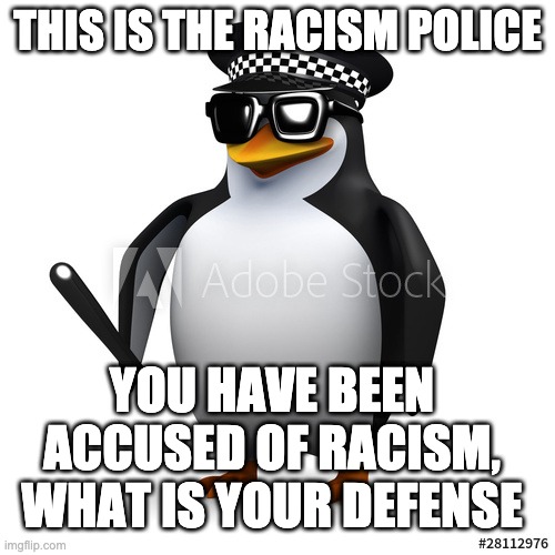 cop penguin | THIS IS THE RACISM POLICE; YOU HAVE BEEN ACCUSED OF RACISM, WHAT IS YOUR DEFENSE | image tagged in cop penguin | made w/ Imgflip meme maker