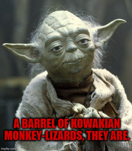 yoda | A BARREL OF KOWAKIAN MONKEY-LIZARDS, THEY ARE. | image tagged in yoda | made w/ Imgflip meme maker