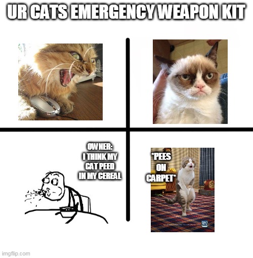 cat weapon pack | UR CATS EMERGENCY WEAPON KIT; OWNER: I THINK MY CAT PEED IN MY CEREAL; *PEES ON CARPET* | image tagged in memes,blank starter pack | made w/ Imgflip meme maker