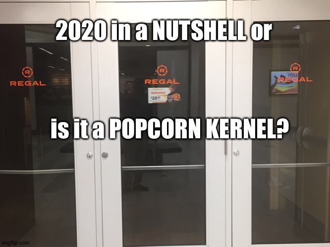 2020 in a nutshell | 2020 in a NUTSHELL or; is it a POPCORN KERNEL? | image tagged in regal,movie theaters,2020 sucks | made w/ Imgflip meme maker