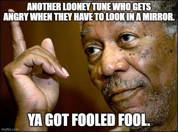 This Morgan Freeman | ANOTHER LOONEY TUNE WHO GETS ANGRY WHEN THEY HAVE TO LOOK IN A MIRROR. YA GOT FOOLED FOOL. | image tagged in this morgan freeman | made w/ Imgflip meme maker