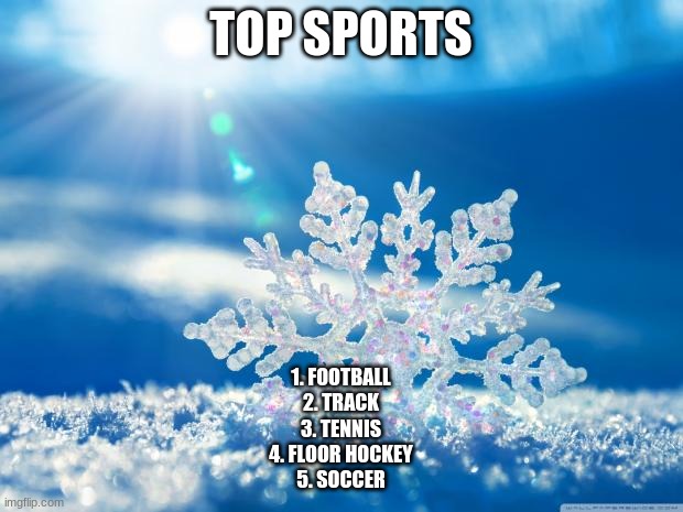 i aint putting it in the comments cuz im lazy | TOP SPORTS; 1. FOOTBALL
2. TRACK
3. TENNIS
4. FLOOR HOCKEY
5. SOCCER | image tagged in snowflake | made w/ Imgflip meme maker