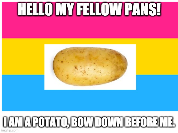 Pansexual potato? PANTATO! | HELLO MY FELLOW PANS! I AM A POTATO, BOW DOWN BEFORE ME. | made w/ Imgflip meme maker