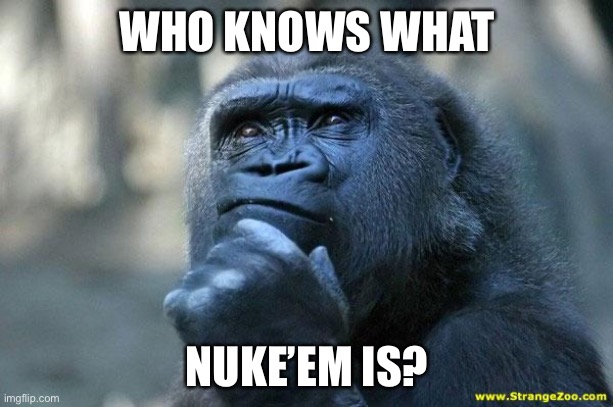 Lol | WHO KNOWS WHAT; NUKE’EM IS? | image tagged in deep thoughts,memes,question,game,sport | made w/ Imgflip meme maker