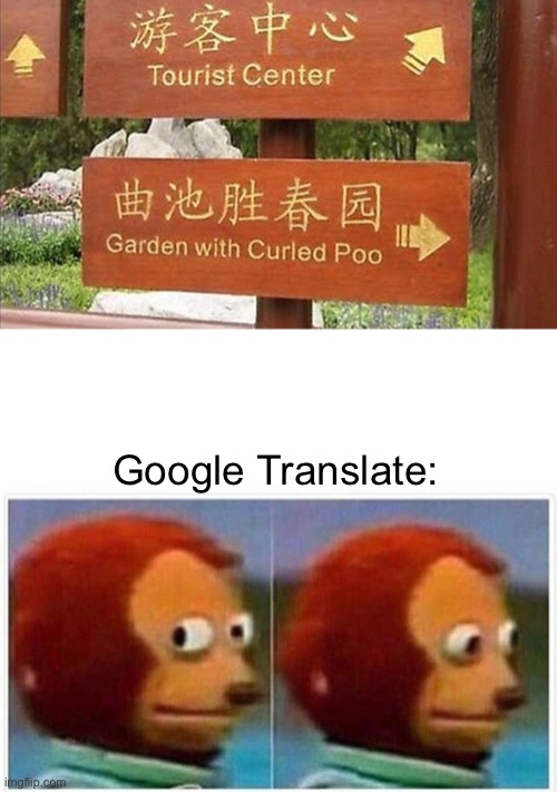 wow that’s some nice poo | Google Translate: | image tagged in memes,monkey puppet | made w/ Imgflip meme maker