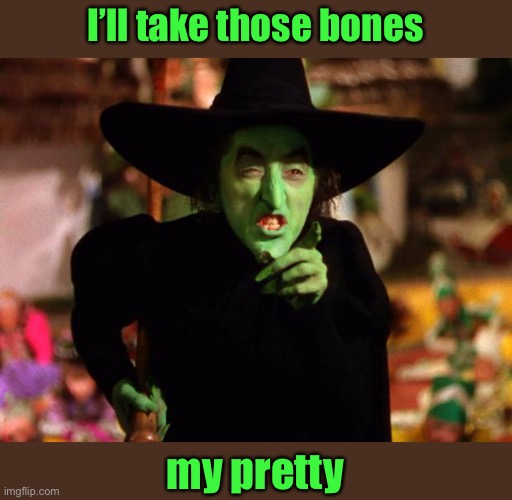 wicked witch  | I’ll take those bones my pretty | image tagged in wicked witch | made w/ Imgflip meme maker