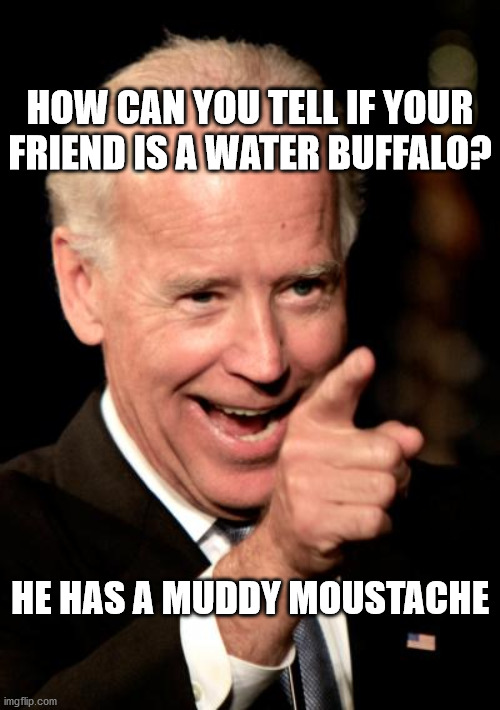 Smilin Biden | HOW CAN YOU TELL IF YOUR FRIEND IS A WATER BUFFALO? HE HAS A MUDDY MOUSTACHE | image tagged in memes,smilin biden | made w/ Imgflip meme maker