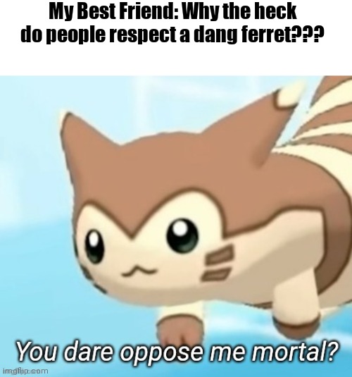 My friend legit said this :( | My Best Friend: Why the heck do people respect a dang ferret??? | image tagged in furret you dare oppose me mortal,furret,pokemon,best friend | made w/ Imgflip meme maker