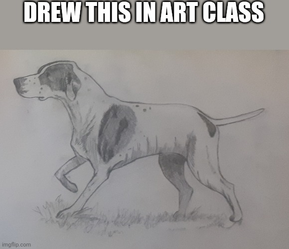 DREW THIS IN ART CLASS | image tagged in dog,art | made w/ Imgflip meme maker