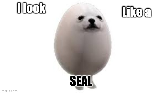 At first, I thought it was a seal | Like a; I look; SEAL | image tagged in egg dog | made w/ Imgflip meme maker