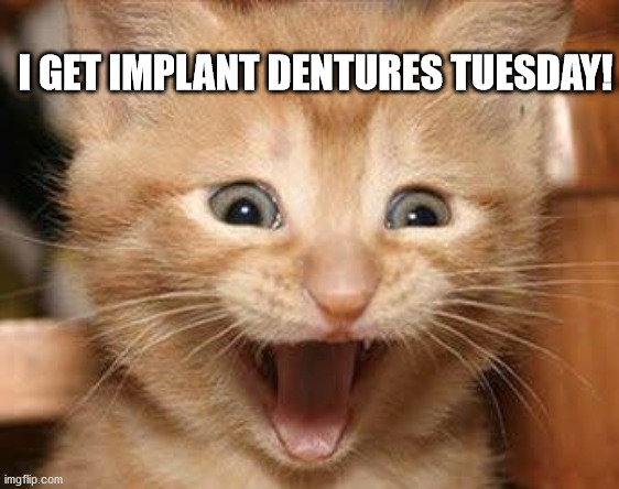 Excited Cat Meme | I GET IMPLANT DENTURES TUESDAY! | image tagged in memes,excited cat | made w/ Imgflip meme maker